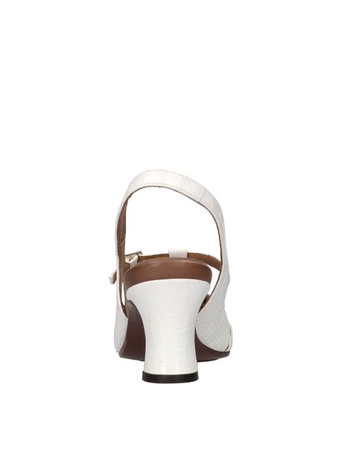  CHIE MIHARA | NESAN BUICKBIANCO-CASTANO